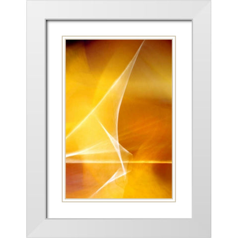 Amber Refraction II White Modern Wood Framed Art Print with Double Matting by Taylor, Douglas