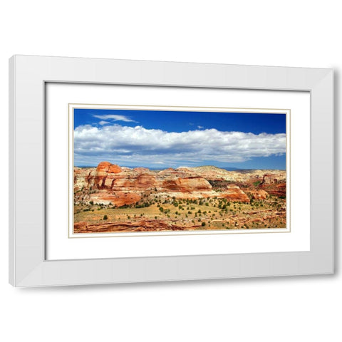 Slickrock County White Modern Wood Framed Art Print with Double Matting by Taylor, Douglas