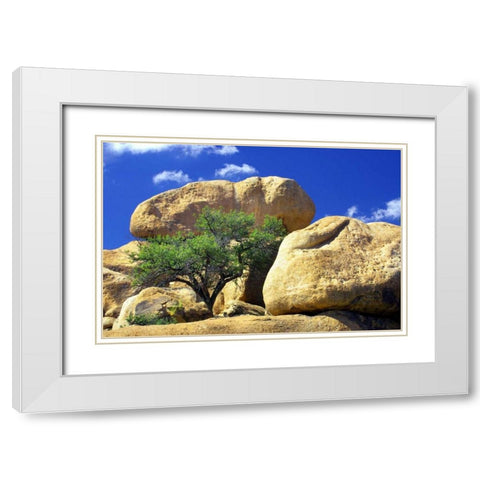 Texas Canyon Rocks II White Modern Wood Framed Art Print with Double Matting by Taylor, Douglas