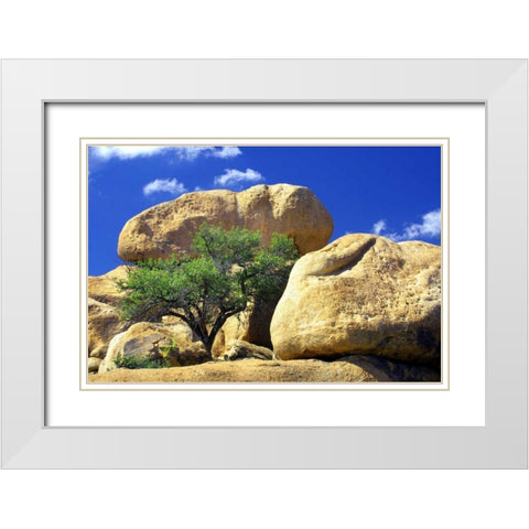 Texas Canyon Rocks II White Modern Wood Framed Art Print with Double Matting by Taylor, Douglas