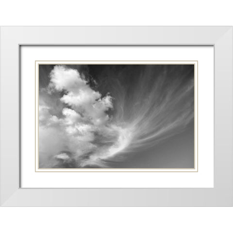 Clouds over Kitt Peak BW I White Modern Wood Framed Art Print with Double Matting by Taylor, Douglas