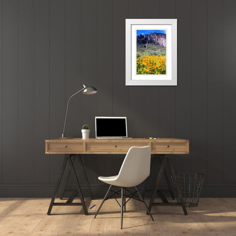 Picacho Peak Wildflowers White Modern Wood Framed Art Print with Double Matting by Taylor, Douglas