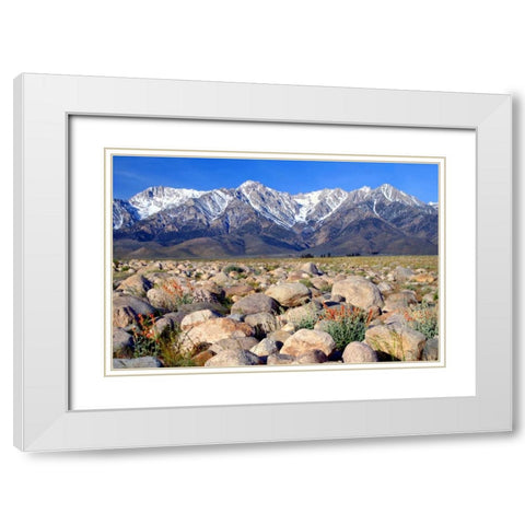 Independence Morning White Modern Wood Framed Art Print with Double Matting by Taylor, Douglas