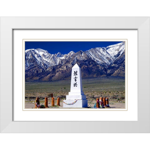 Manzanar Remembrance III White Modern Wood Framed Art Print with Double Matting by Taylor, Douglas
