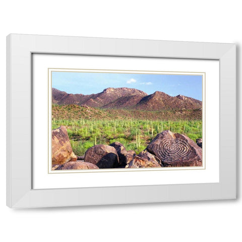 Signal Hill White Modern Wood Framed Art Print with Double Matting by Taylor, Douglas
