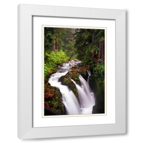 Sol Duc River Falls White Modern Wood Framed Art Print with Double Matting by Taylor, Douglas