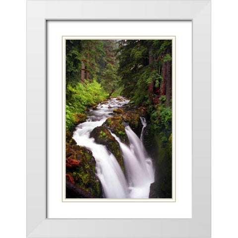Sol Duc River Falls White Modern Wood Framed Art Print with Double Matting by Taylor, Douglas