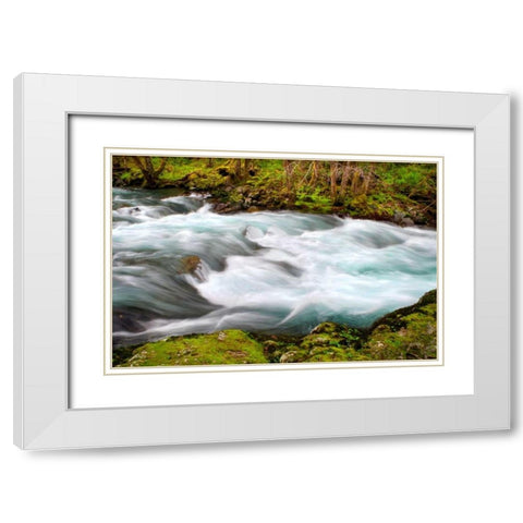 Rainforest River II White Modern Wood Framed Art Print with Double Matting by Taylor, Douglas