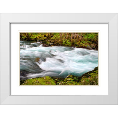 Rainforest River II White Modern Wood Framed Art Print with Double Matting by Taylor, Douglas