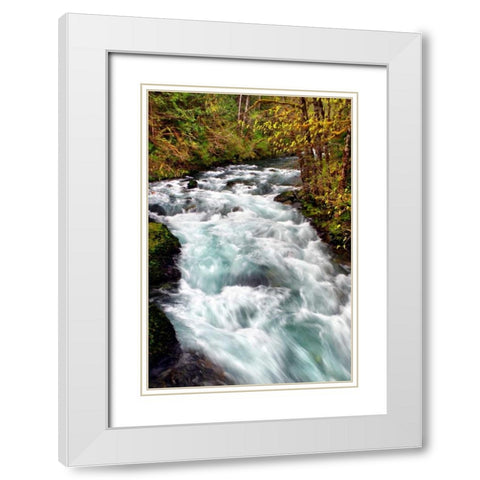 Hamma Hamma River White Modern Wood Framed Art Print with Double Matting by Taylor, Douglas