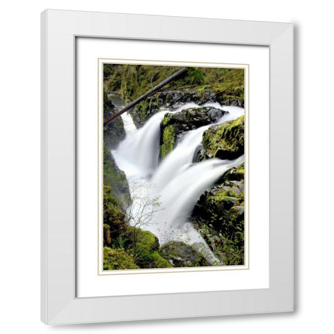 Sol Duc Falls I White Modern Wood Framed Art Print with Double Matting by Taylor, Douglas