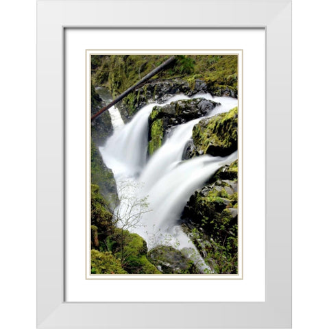 Sol Duc Falls I White Modern Wood Framed Art Print with Double Matting by Taylor, Douglas