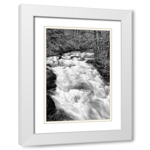 Hamma Hamma River BW White Modern Wood Framed Art Print with Double Matting by Taylor, Douglas
