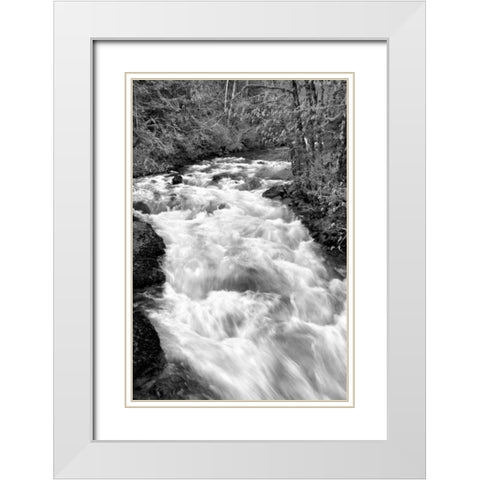 Hamma Hamma River BW White Modern Wood Framed Art Print with Double Matting by Taylor, Douglas