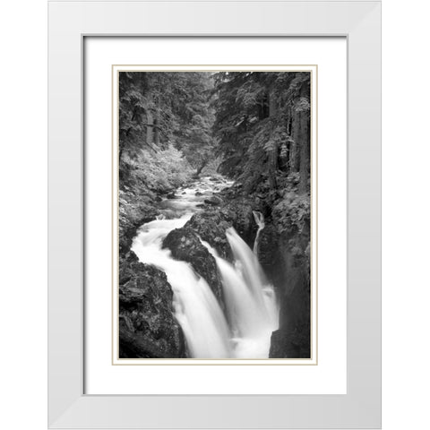 Sol Duc River Falls BW White Modern Wood Framed Art Print with Double Matting by Taylor, Douglas