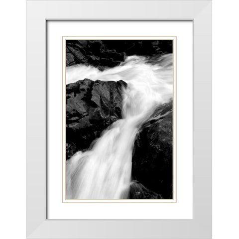Sol Duc River II BW White Modern Wood Framed Art Print with Double Matting by Taylor, Douglas