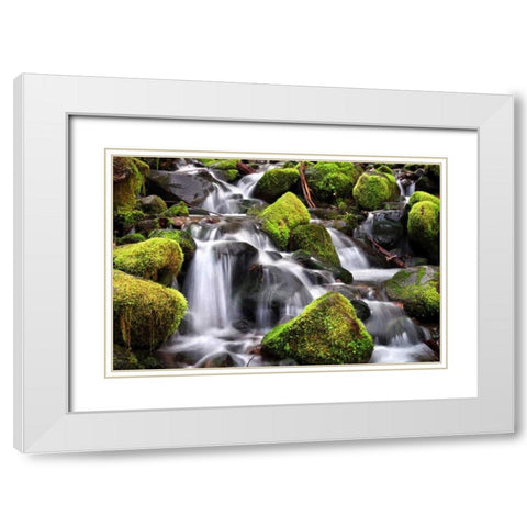 Trailside Stream White Modern Wood Framed Art Print with Double Matting by Taylor, Douglas