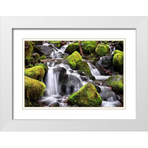 Trailside Stream White Modern Wood Framed Art Print with Double Matting by Taylor, Douglas