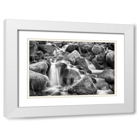 Trailside Stream BW White Modern Wood Framed Art Print with Double Matting by Taylor, Douglas