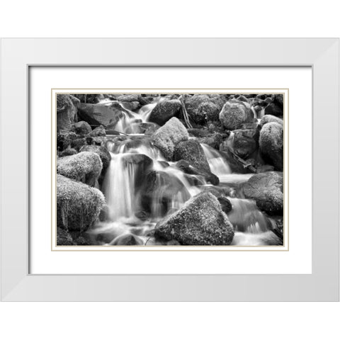 Trailside Stream BW White Modern Wood Framed Art Print with Double Matting by Taylor, Douglas