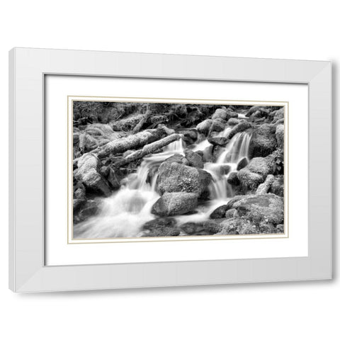 Forest Stream BW White Modern Wood Framed Art Print with Double Matting by Taylor, Douglas