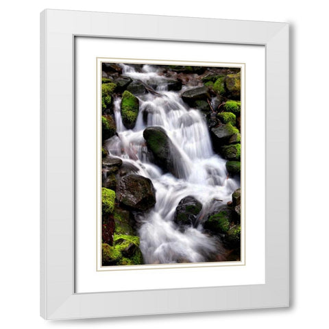 Trailside Waterfall I White Modern Wood Framed Art Print with Double Matting by Taylor, Douglas