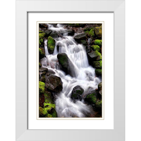 Trailside Waterfall I White Modern Wood Framed Art Print with Double Matting by Taylor, Douglas