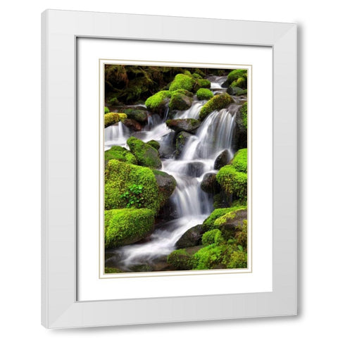 Trailside Waterfall II White Modern Wood Framed Art Print with Double Matting by Taylor, Douglas