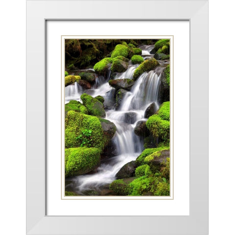Trailside Waterfall II White Modern Wood Framed Art Print with Double Matting by Taylor, Douglas