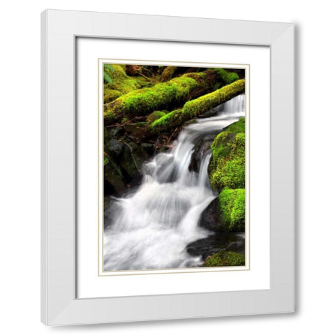 Trailside Waterfall III White Modern Wood Framed Art Print with Double Matting by Taylor, Douglas