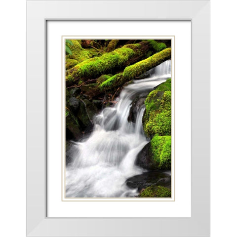 Trailside Waterfall III White Modern Wood Framed Art Print with Double Matting by Taylor, Douglas