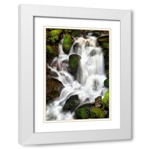 Trailside Waterfall IV White Modern Wood Framed Art Print with Double Matting by Taylor, Douglas