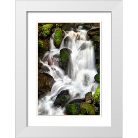 Trailside Waterfall IV White Modern Wood Framed Art Print with Double Matting by Taylor, Douglas