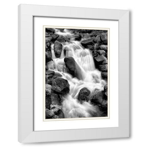 Trailside Waterfall I BW White Modern Wood Framed Art Print with Double Matting by Taylor, Douglas