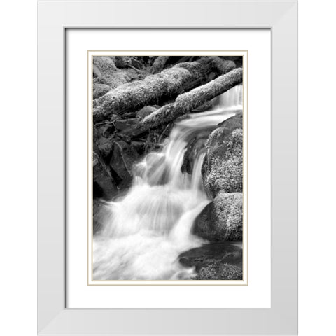 Trailside Waterfall III BW White Modern Wood Framed Art Print with Double Matting by Taylor, Douglas
