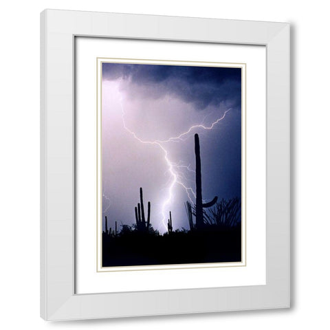 Hot August Night White Modern Wood Framed Art Print with Double Matting by Taylor, Douglas