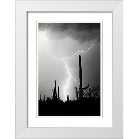 Hot August Night BW White Modern Wood Framed Art Print with Double Matting by Taylor, Douglas