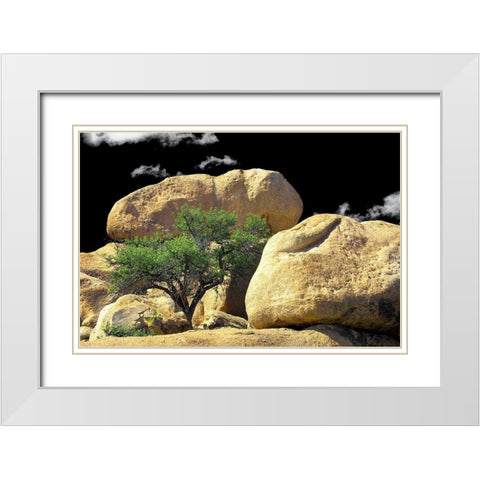Texas Canyon Rox and Rolls White Modern Wood Framed Art Print with Double Matting by Taylor, Douglas