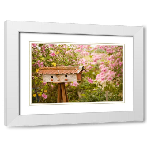 Bird House I White Modern Wood Framed Art Print with Double Matting by Clayton-Thompson, Philip
