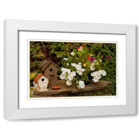 Bird House II White Modern Wood Framed Art Print with Double Matting by Clayton-Thompson, Philip
