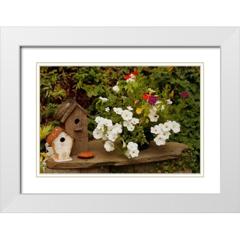 Bird House II White Modern Wood Framed Art Print with Double Matting by Clayton-Thompson, Philip