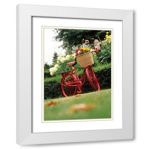 Vintage Bicycle II White Modern Wood Framed Art Print with Double Matting by Clayton-Thompson, Philip