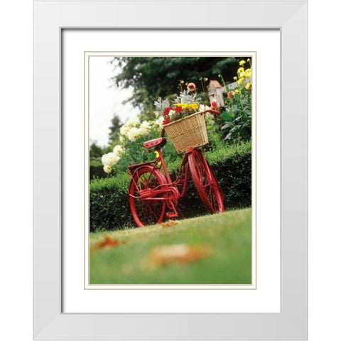 Vintage Bicycle II White Modern Wood Framed Art Print with Double Matting by Clayton-Thompson, Philip