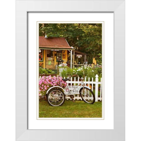 Vintage Bicycle III White Modern Wood Framed Art Print with Double Matting by Clayton-Thompson, Philip