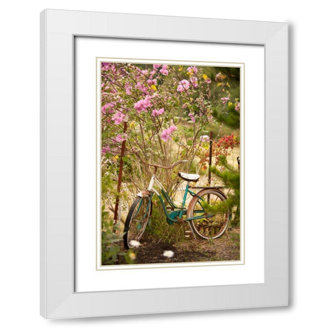 Vintage Bicycle IV White Modern Wood Framed Art Print with Double Matting by Clayton-Thompson, Philip