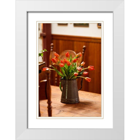 Fresh Tulips I White Modern Wood Framed Art Print with Double Matting by Clayton-Thompson, Philip
