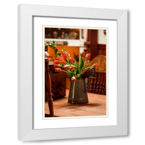Fresh Tulips II White Modern Wood Framed Art Print with Double Matting by Clayton-Thompson, Philip