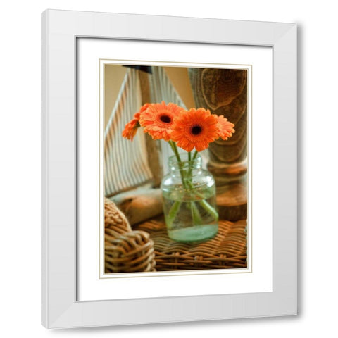 Fresh Picked I White Modern Wood Framed Art Print with Double Matting by Clayton-Thompson, Philip