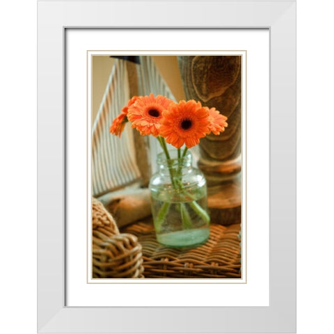 Fresh Picked I White Modern Wood Framed Art Print with Double Matting by Clayton-Thompson, Philip