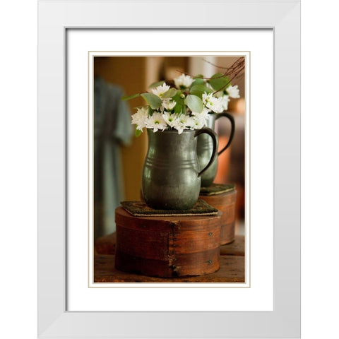 Daisy Bouquet I White Modern Wood Framed Art Print with Double Matting by Clayton-Thompson, Philip
